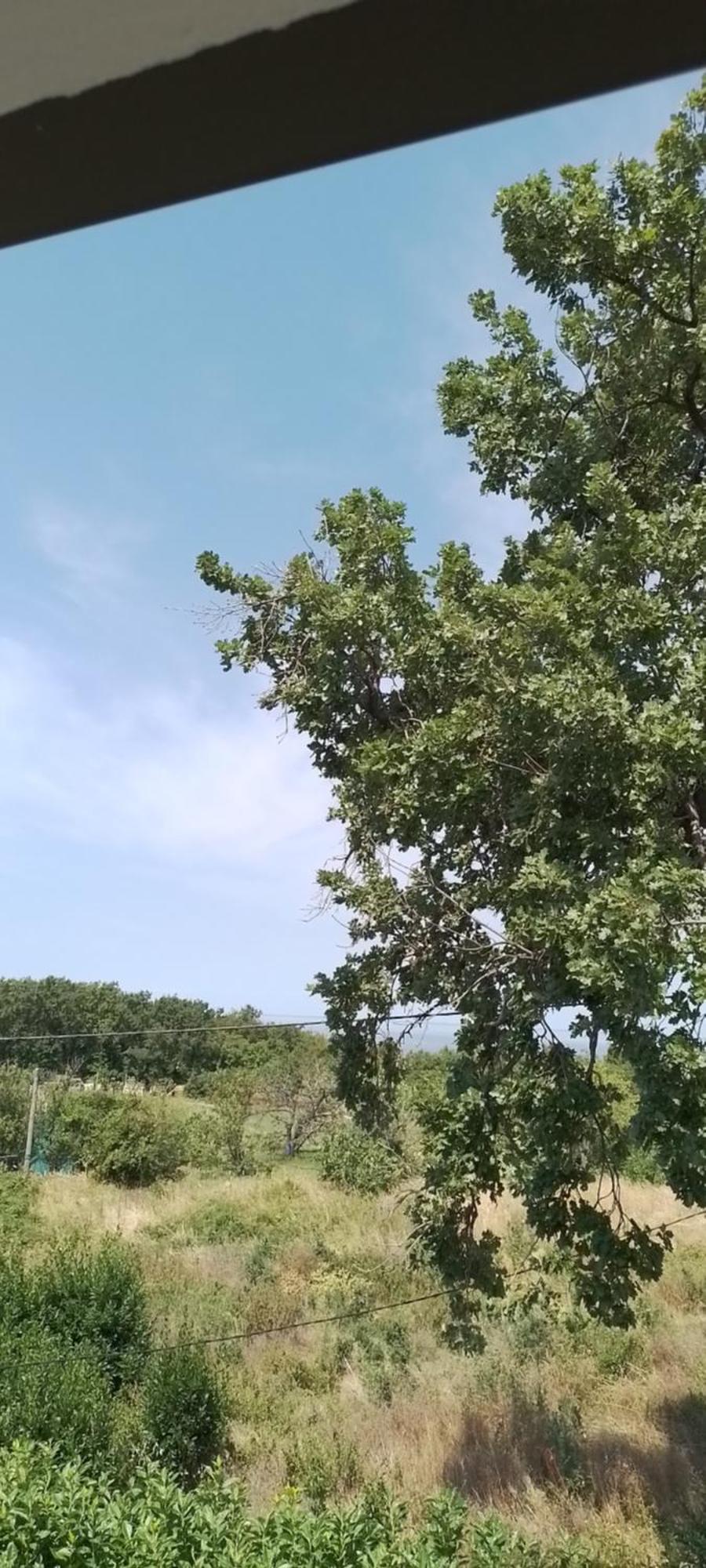 Apartma Barizoni Ankaran Dış mekan fotoğraf